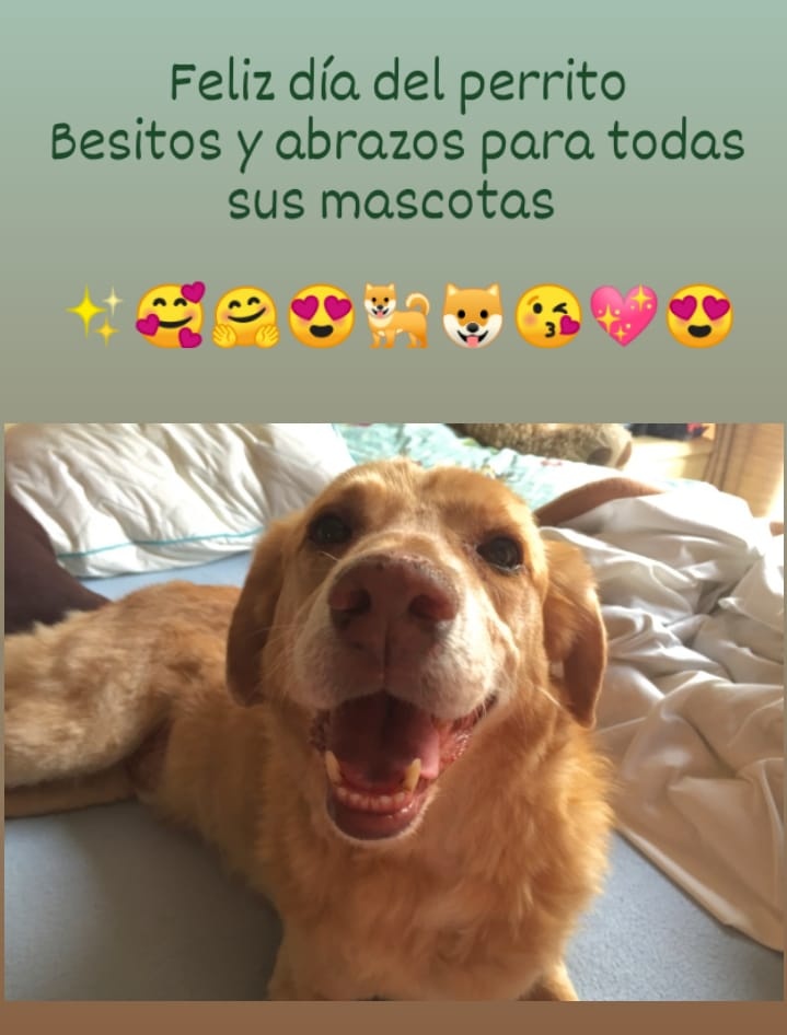 Maizana's tweet photo. #DiaDelPerro 💖💖💖💖💖 https://t.co/L0pmzxCAm7