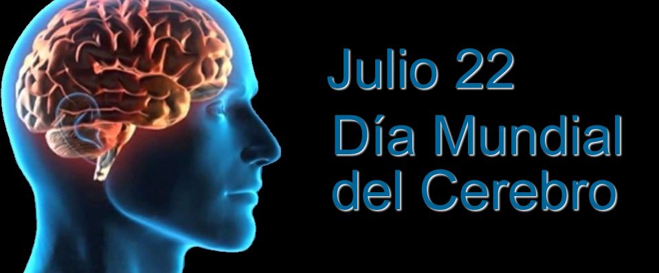 #Efemérides | Cada 22 de julio desde el 2014 se celebra el Día Mundial del Cerebro, fecha acordada por la federación mundial de Neurología, para crear conciencia y así poder evitar las enfermedades silenciosas que pueden desgastarlo.@MPPEDUCACION ,<a href="/eduardopiate2/">eduardo piñate</a>