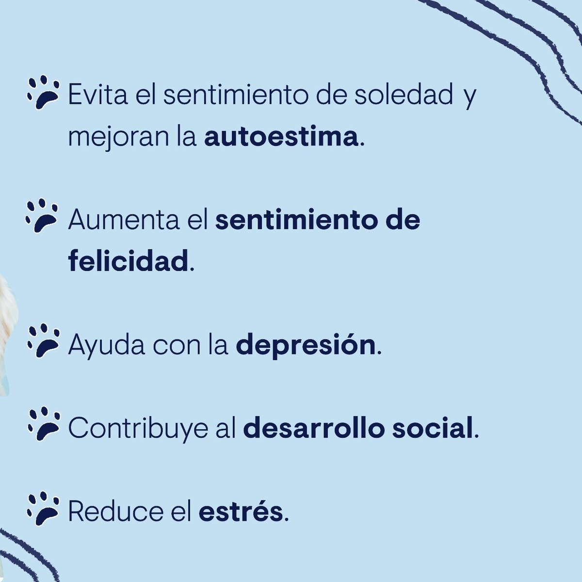 #DiaMundialDelPerro ¡Desde el primer día sabíamos que se convertirán en los mejores amigos! Por eso hay que amarlos, cuidarlos y protegerlos. 
#DiaInternacionaldelPerro🐶#LosMejoresAmigos🐕