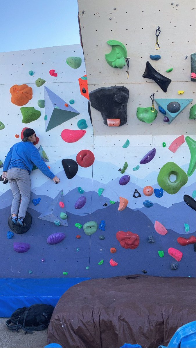 quinnb_m's tweet photo. @Advil my 100+ y/o (in dog yrs) dog, and my boyfriend’s climbing wall that he built &amp; i painted https://t.co/dgVmqRDSFR