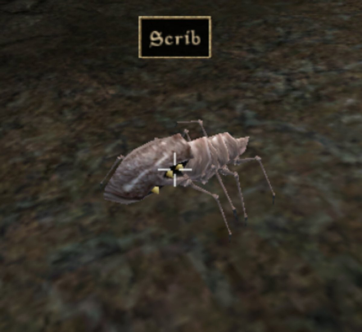 vinetooth's tweet image. entering my scrib era