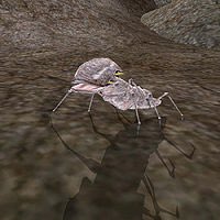 vinetooth's tweet image. entering my scrib era