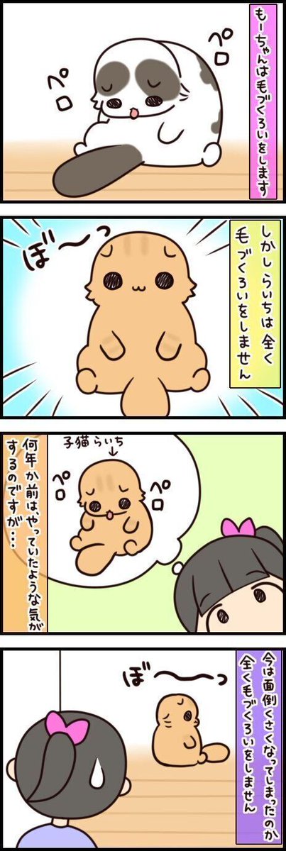 自分のはしないのに?悶絶必須の毛づくろいの瞬間【連載】もふもふスコたん#182|ねこのきもちWEB MAGAZINE https://t.co/6gnByARenL 