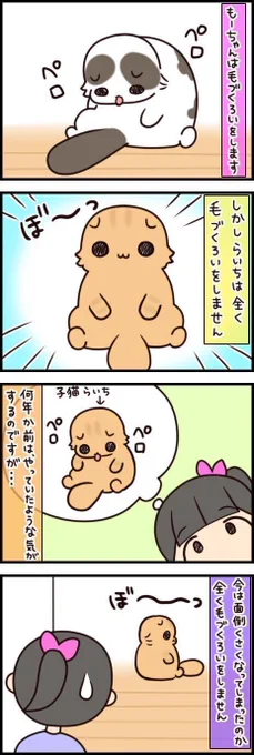 自分のはしないのに?悶絶必須の毛づくろいの瞬間【連載】もふもふスコたん#182|ねこのきもちWEB MAGAZINE https://t.co/6gnByARenL 