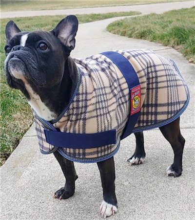 🚨 AVAILABLE NOW🚨
5/A Baker® Bakerfleece Dog Blanket😲😍
📍Made from the finest polyester fleece 
📍Belly band &amp; chest strap are both wide Velcro® for a secure fit, with lots of room to adjust for a custom 
📣Contact us today to grab yours!
#jacksinc #jmipetsupply #5/abaker