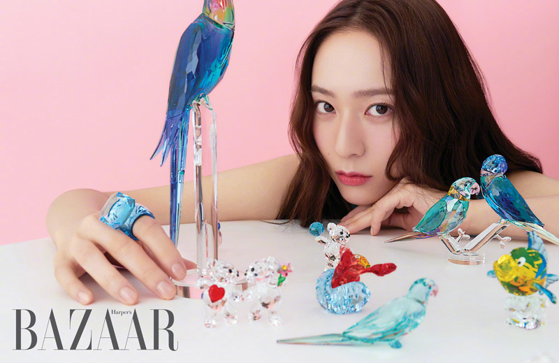 수정이 저장소 tweet media