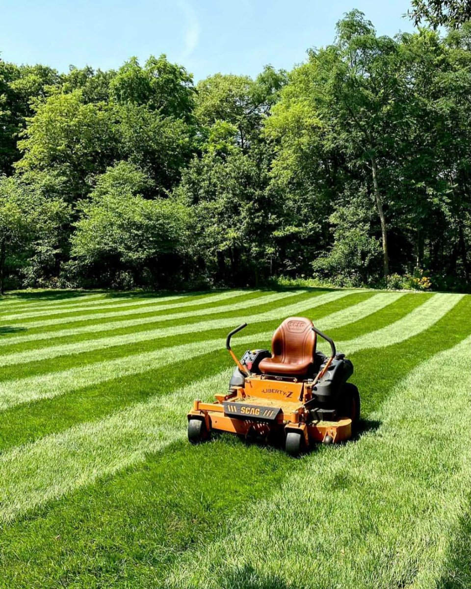 ScagPower's tweet photo. Are you picking up what this Liberty Z is layin' down?! π
Special thanks to @fancyflowerfarmer (via IG) for sharing this photo with us.
#SimplyTheBest #ScagLibertyZ #TheScagDifference #ScagNation #ScagMowers #Scag #Lawncare #ScagStripes #StripeNation #StripeLife #ScagLife https://t.co/KZi7BQrzaB