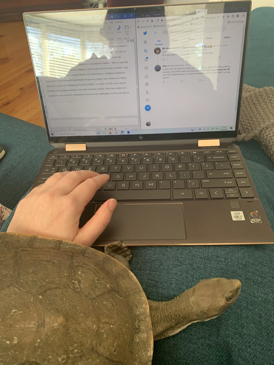 KatieEBarclay's tweet photo. @UniofAdelaide Rex #PetsofUofA https://t.co/4KGZfxLp6o