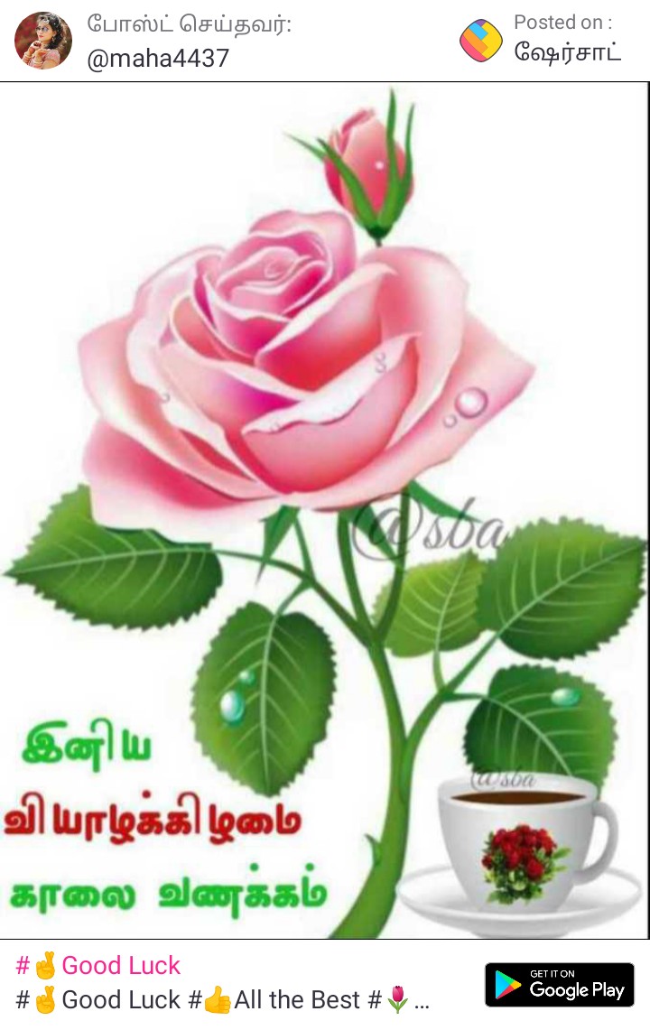 Yuvaraj85670072's tweet photo. @devigurusenthil https://t.co/5T25wXYwN4