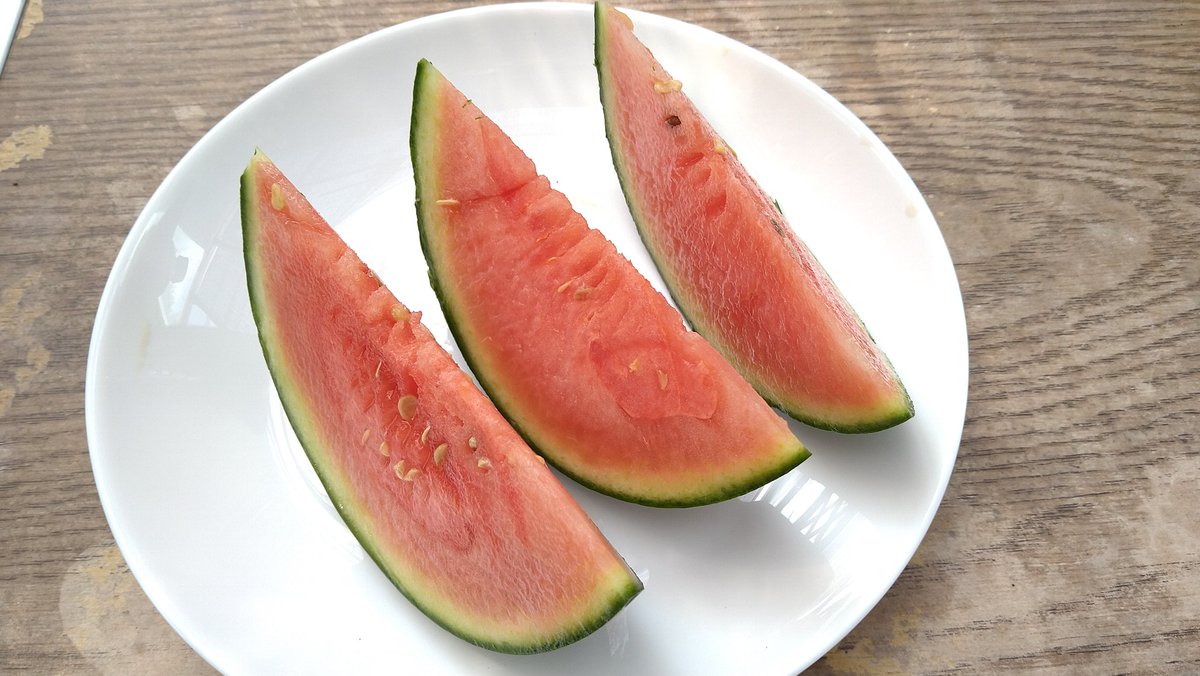 100本 わが家の家庭菜園 空中栽培の小玉スイカ が育ってきました 大玉スイカ並み 笑 1個試食 あまーい 夏の恵みに感謝です 家庭菜園 スイカの空中栽培 空ネット