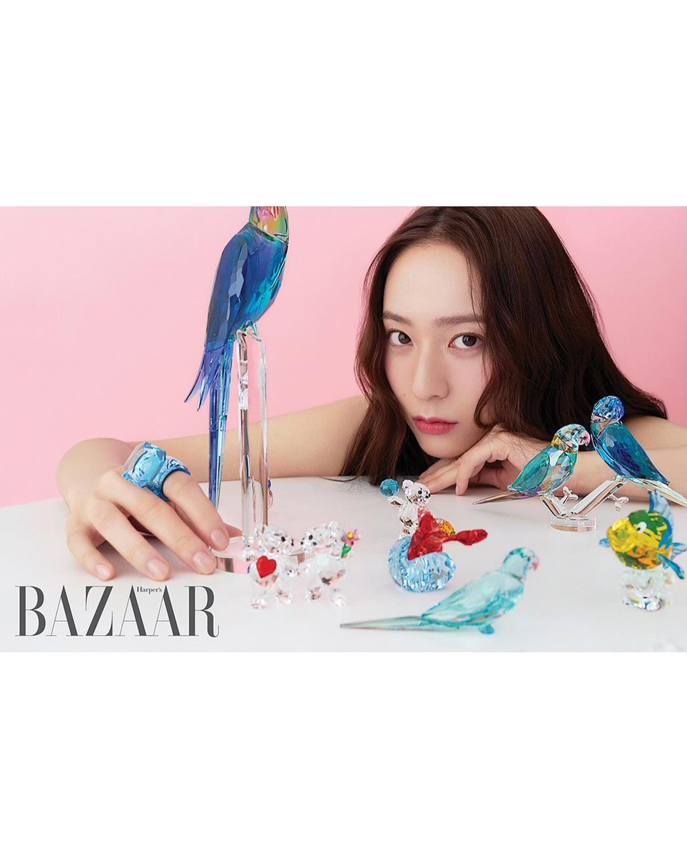 수정이 저장소 tweet media