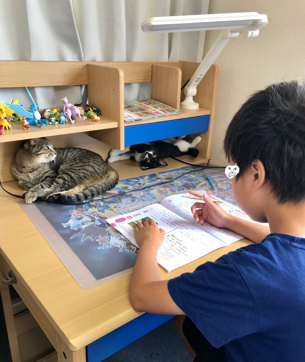 子どもの夏休みの宿題に手を貸してくれる者たち 育児 Togetter 子どもの夏休みの宿題に手を貸してくれる者たち 育児 Togetter