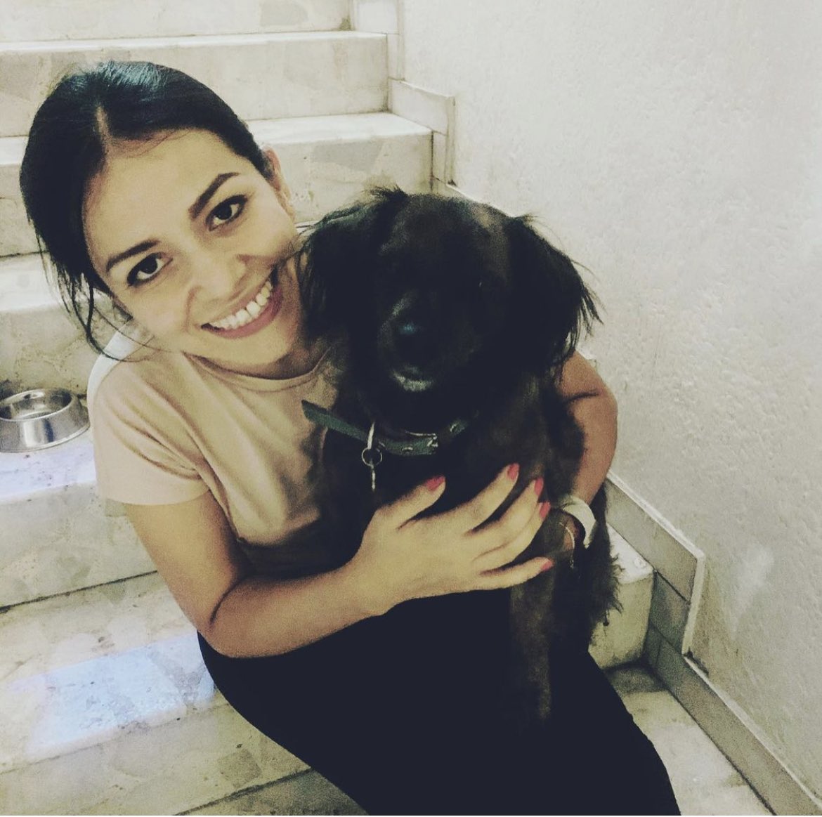 MarcelaAcevesS's tweet photo. Mely la adoptamos en el 2019 #perroreal https://t.co/vmwzPwPQLm