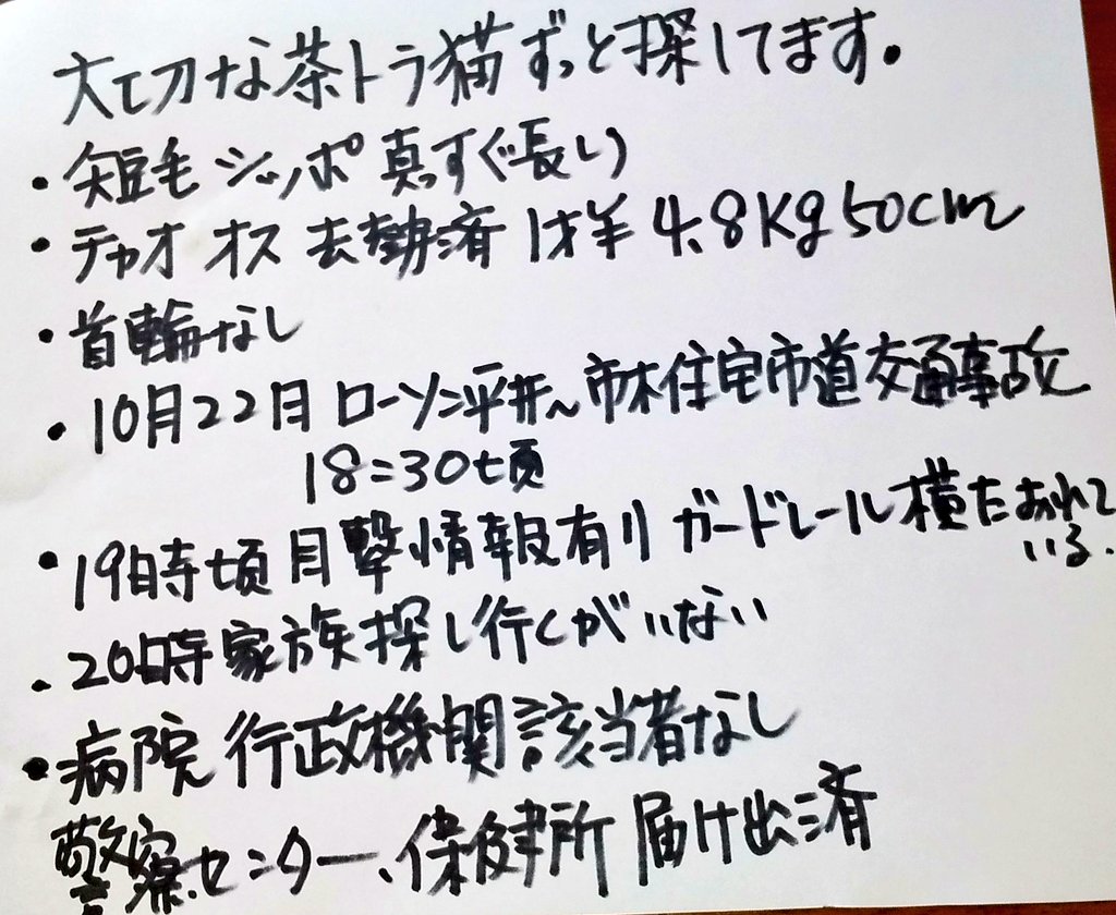 wasizu7masahiko's tweet photo. 🔶#拡散希望🔶
よろしくお願いします😺🙏#迷子猫 #迷い猫探し中
❇️名前「チャオ」くん🐾
⭕#茶トラ 😺さん
⭕オス🎏1歳半
⭕尻尾長い
⭕首輪なし
⭕短毛
⭕愛知県 #豊田市平井町 #ローソン豊田平井店 付近で交通事故😱後に迷子😢
⭕令和2年10月22日以降行方不明😭
#どんな些細な情報でもお願いします🙏 https://t.co/YDOgpJkvqr