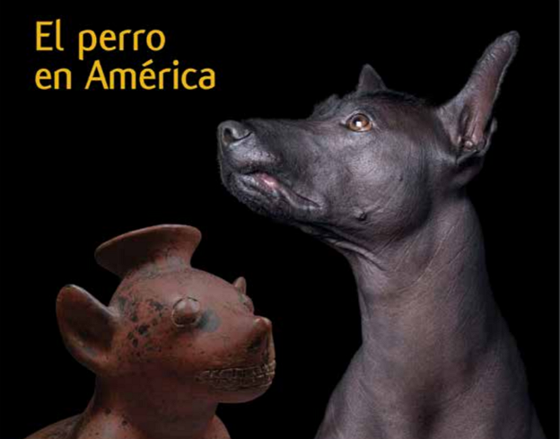 CONICET Digital tweet media