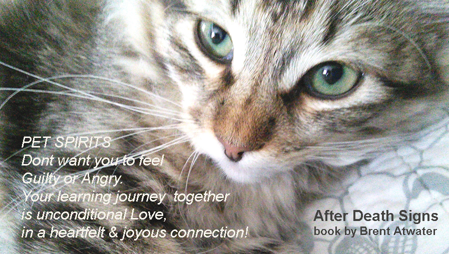 KristenRadon's tweet photo. #catsoftwitter https://t.co/B1kzdH7MlP
