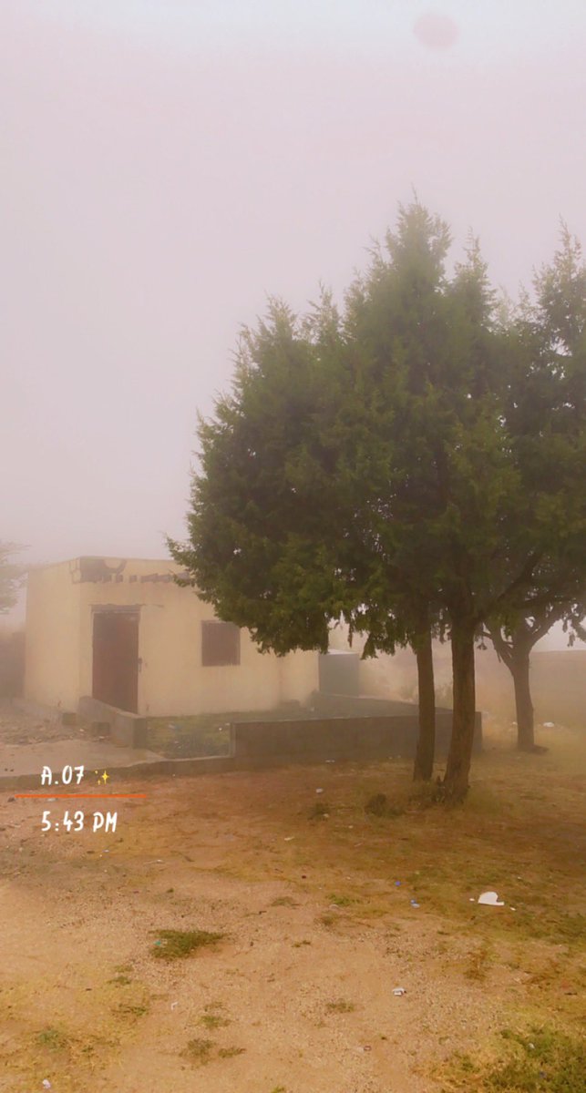 aaqq_077's tweet photo. #الجنوب تصويري ❤️🌸 https://t.co/a6WzTeEgdM
