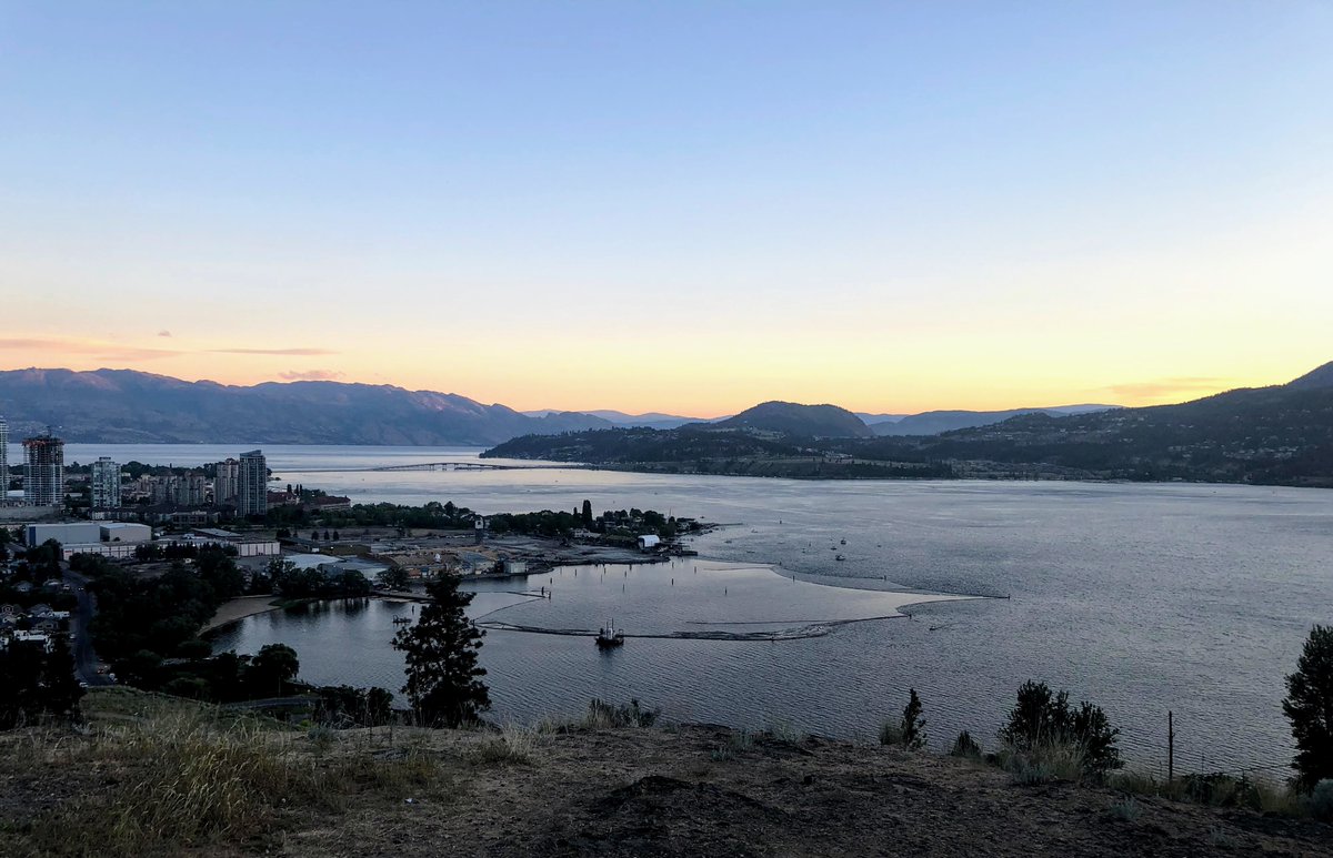 HGainforth's tweet photo. Expand your horizons and come join our incredible @ABClabUBCO team!

We are looking for a part-time research coordinator to join our team.  Applications are due August 18th.

To learn more and apply: https://t.co/HCdCTet7J2 https://t.co/8wCwncHKG3