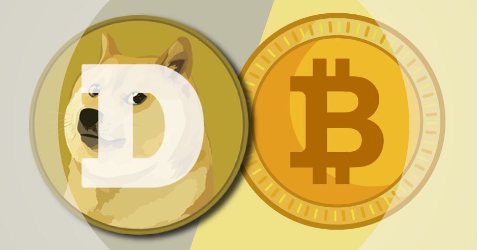 Dogecoin vs bitcoin Dogecoin vs bitcoin btc miner 1.0
