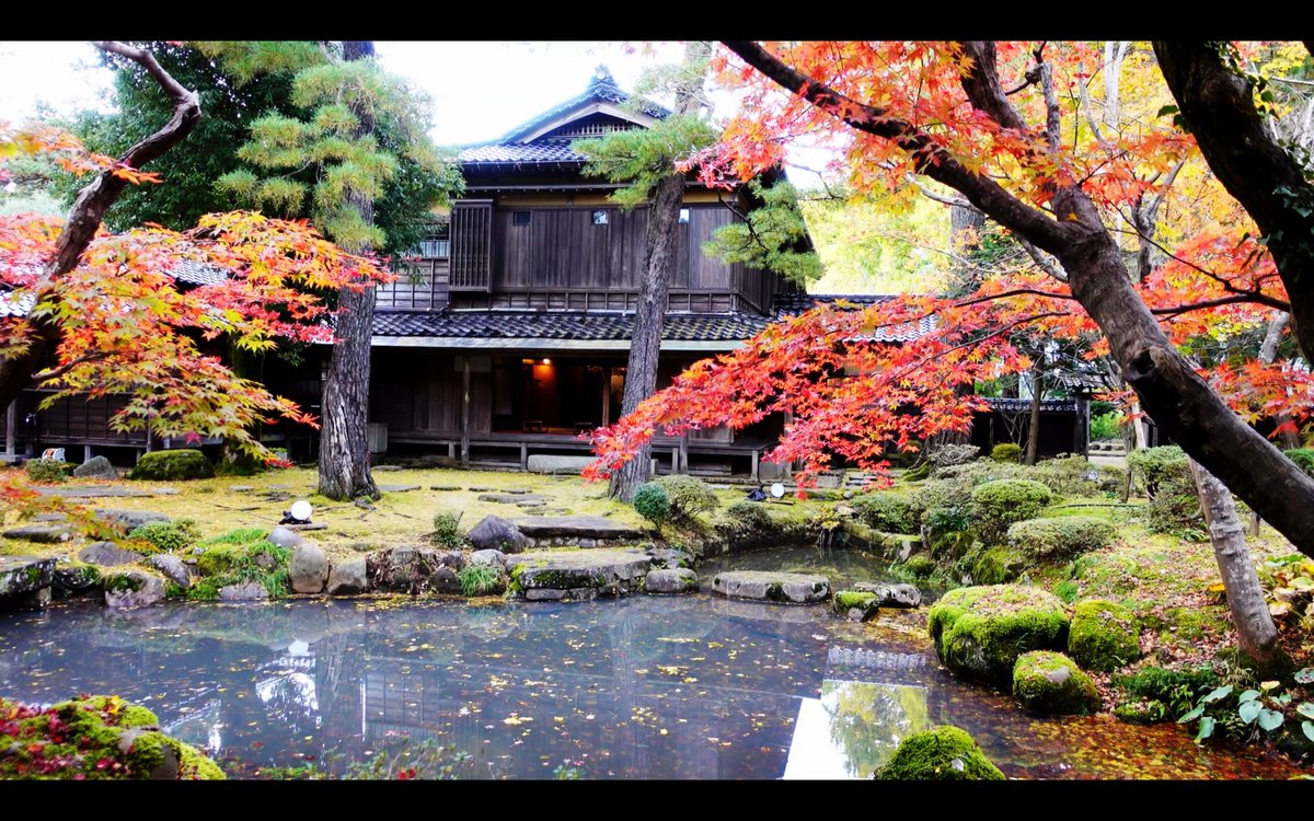 1logZv's tweet photo. 秋幸苑の庭園と母屋。なんて綺麗なんだ・・・。
https://t.co/rOo3kNLMpF
#秋幸苑　#飯塚邸　#日本庭園　#紅葉　#柏崎 https://t.co/IhS937dODs