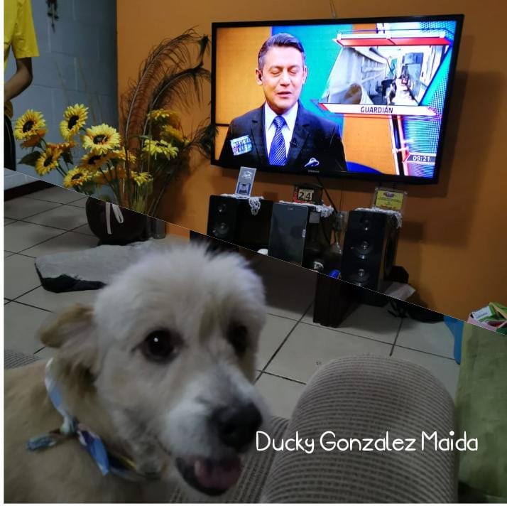 Roberto Maida tweet media