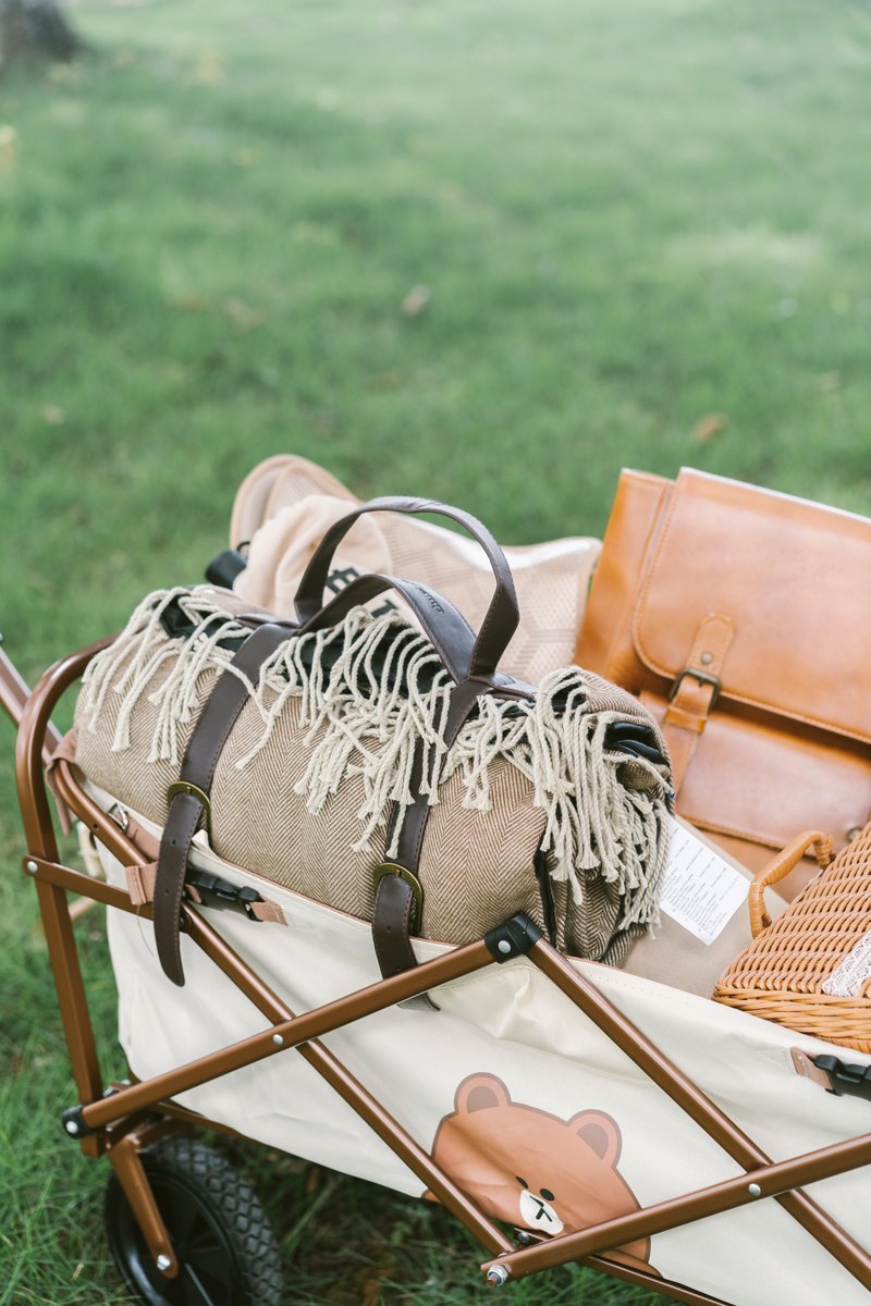 KingCamp tweet media