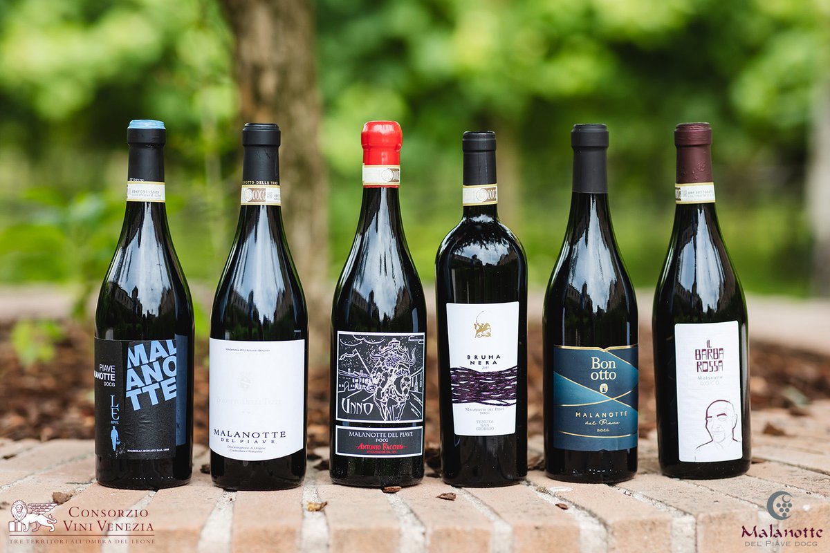 ViniVenezia's tweet photo. Il Malanotte del Piave DOCG, eccellenza enologica di #Treviso e #Venezia è stato protagonista di una degustazione guidata, alla scoperta della nobile versione del Raboso piave, prodotto spesso da vigneti ultracentenari

#consorziovinivenezia #malanottedelpiavedocg #feelvenice2021 https://t.co/rPiXkWTA3c