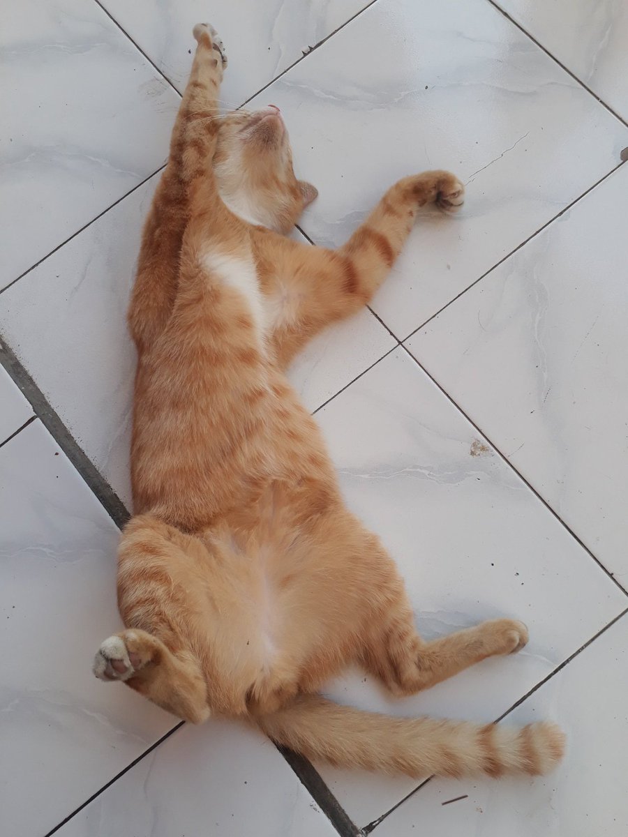IdyFina's tweet photo. Semakin Amboradol Ini Negara ya,, https://t.co/XYCjAwgEUw
