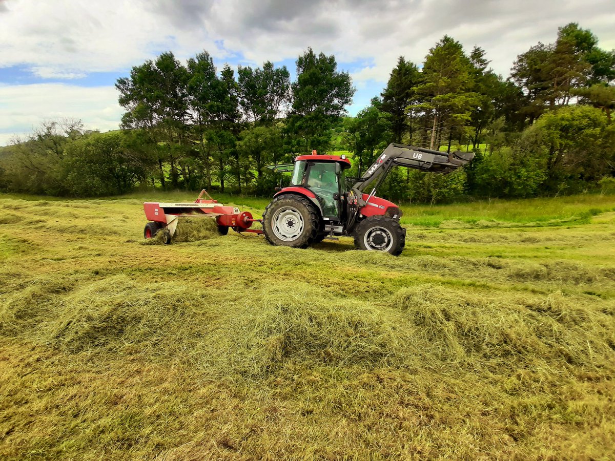 oakleatrust's tweet photo. 🚜Down on farm for summer🤔2 spaces left for YP aged 16-19 if they live Carlisle/N Cumbria☎️Community Learning supremo Mandy Morland 07971 693915👍
Always ahead of the "herd" with Right2Work😇 #KindCumbria #cumbria #Carlisle #carlislecollege #edendistrict https://t.co/0iYG7pI2H0