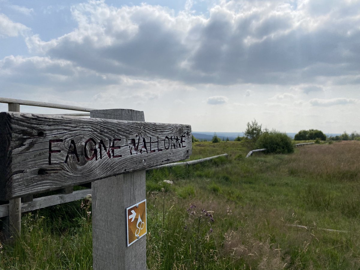 tourdewallonie's tweet photo. L’ @EthiasFR Tour de Wallonie s’est installé au cœur de la la Fagne wallonne, sur le toit de la Belgique #signaldebotrange pour le départ de la 3e étape vers Erezée. La course prend de la hauteur aujourd’hui 🚵🏻  #ethiasontour #ethiastourdewallonie2021 

👉🏻 https://t.co/VBxhjFg6xZ https://t.co/BDIAYyyuiZ