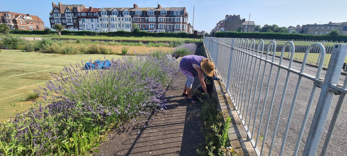 leonlumba's tweet photo. With the help of volunteers #ProjectLawn gets underway Working in harmony with the lawns #cliftonvillebowlsclub wildlife we're making sure the eco system here is sustained
@IsleThanetNews @lovecliftonvill
@IAmCliftonville https://t.co/E4G3ZwIfdN