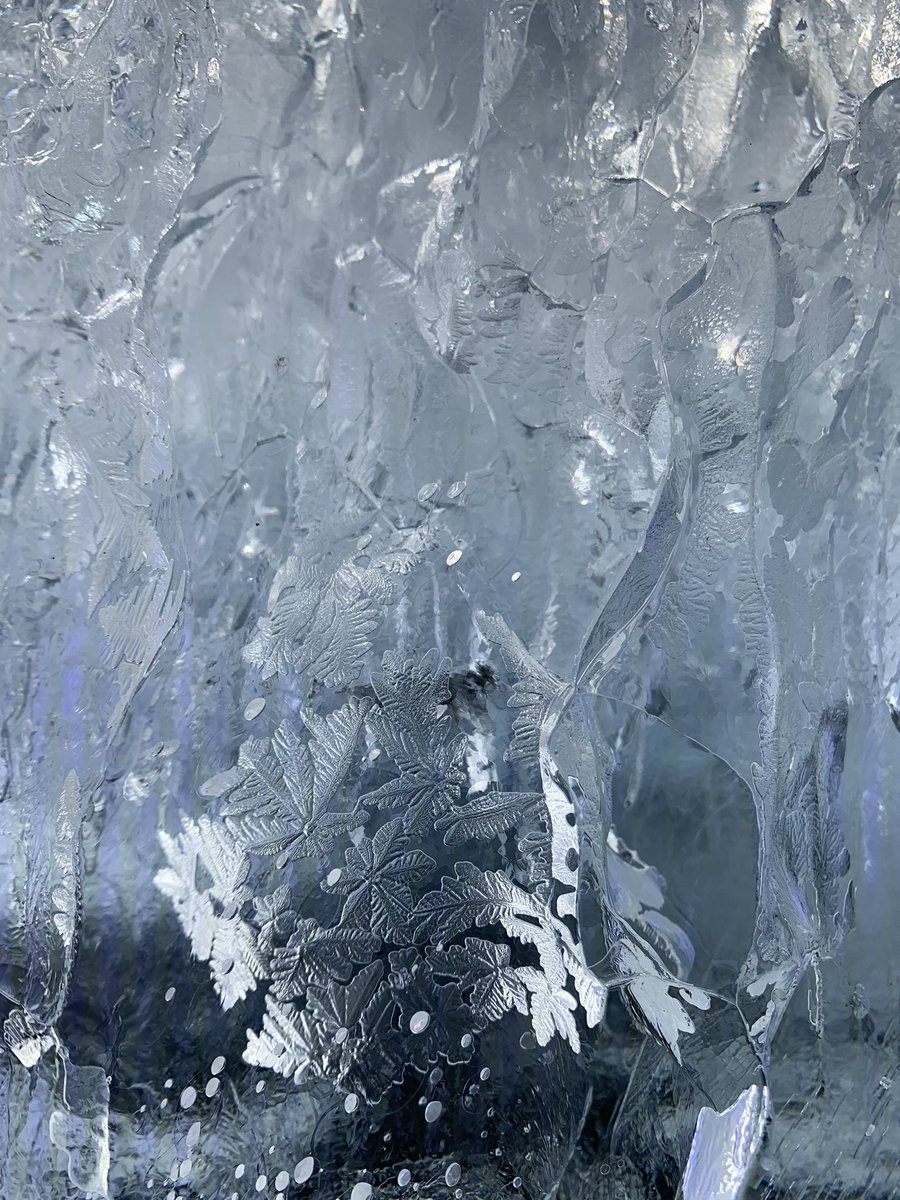 Jessica Ranft tweet media