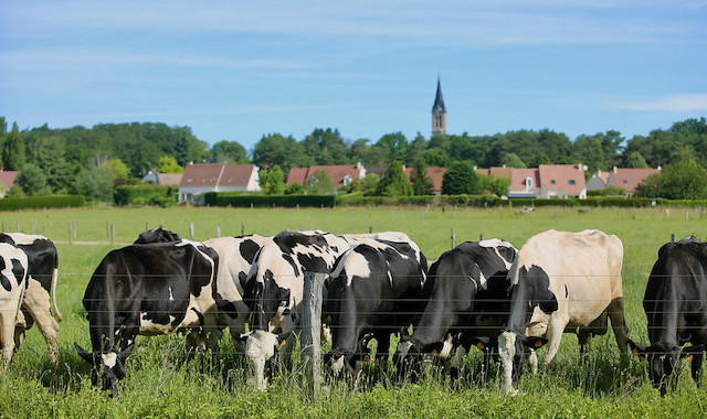 La Boissière-Ecole, le village qui pense un monde durable enlargeyourparis.fr/societe/la-boi…