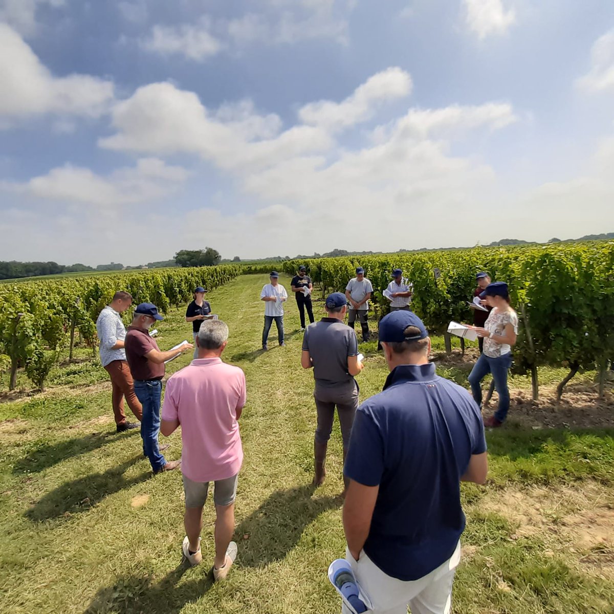 [ 🍇 Biosolutions #vigne ] 
🌱Les équipes en visite des îlots biosolutions au Château de Fontenille dans le #vignoble bordelais. 🍷
👉Au programme : Biosolutions <a href="/DESANGOSSE/">DE SANGOSSE</a> et <a href="/AGRONUTRITION/">AGRONUTRITION</a> 
#PositiveProduction