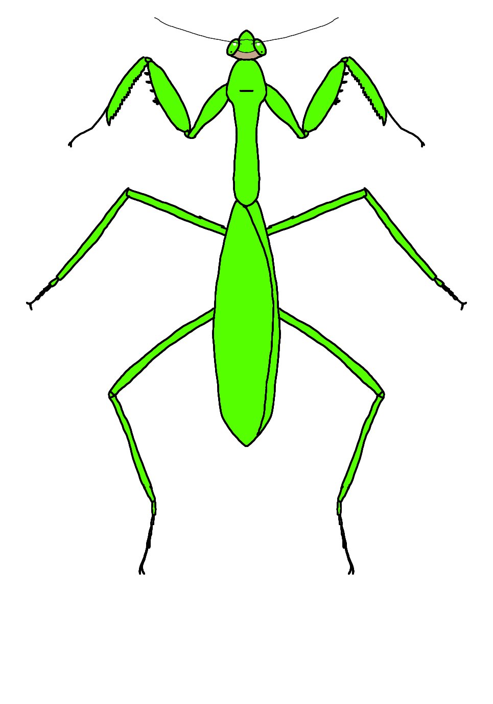 Twitter 上的 Little A 特撮も好きなんです カマキリを描いてみた イラスト イラスト好きな人と繋がりたい イラスト好きさんと繋がりたい オオカマキリ ハナカマキリ メダマカレハカマキリ ニセハナマオウカマキリ T Co Q8u8m7vrq1 Twitter