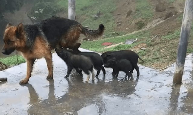 KeshavS36071314's tweet photo. A rare pic of dhruv Rathee and his gang.
#elvishwillrise
@dhruv_rathee 
@ElvishYadav https://t.co/qSj7u52Vrb