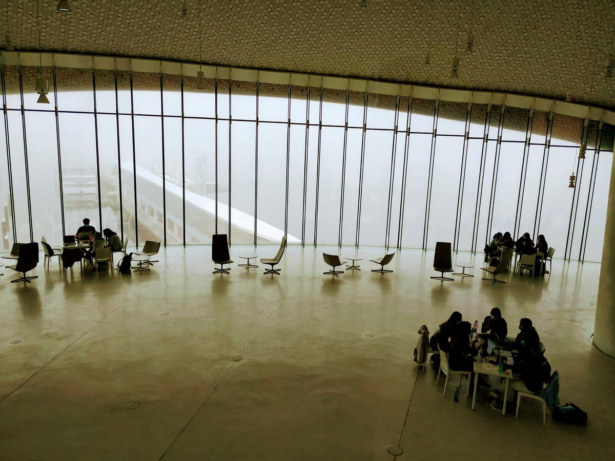 Leão Lab - CIIMAR (U.Porto) tweet media