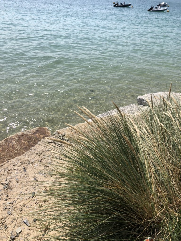 JeniferRosena's tweet photo. Tropical Cornwall yesterday 🤙🏻 https://t.co/x0W3USXCVN