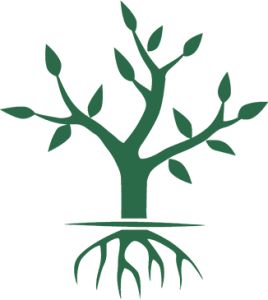 Our commitment to looking after the environment doesn't stop at our zero to landfill policy.

We're proud to support Trees for Derby, with monthly donations to contribute towards their efforts of planting 250,000 trees in and around our city!