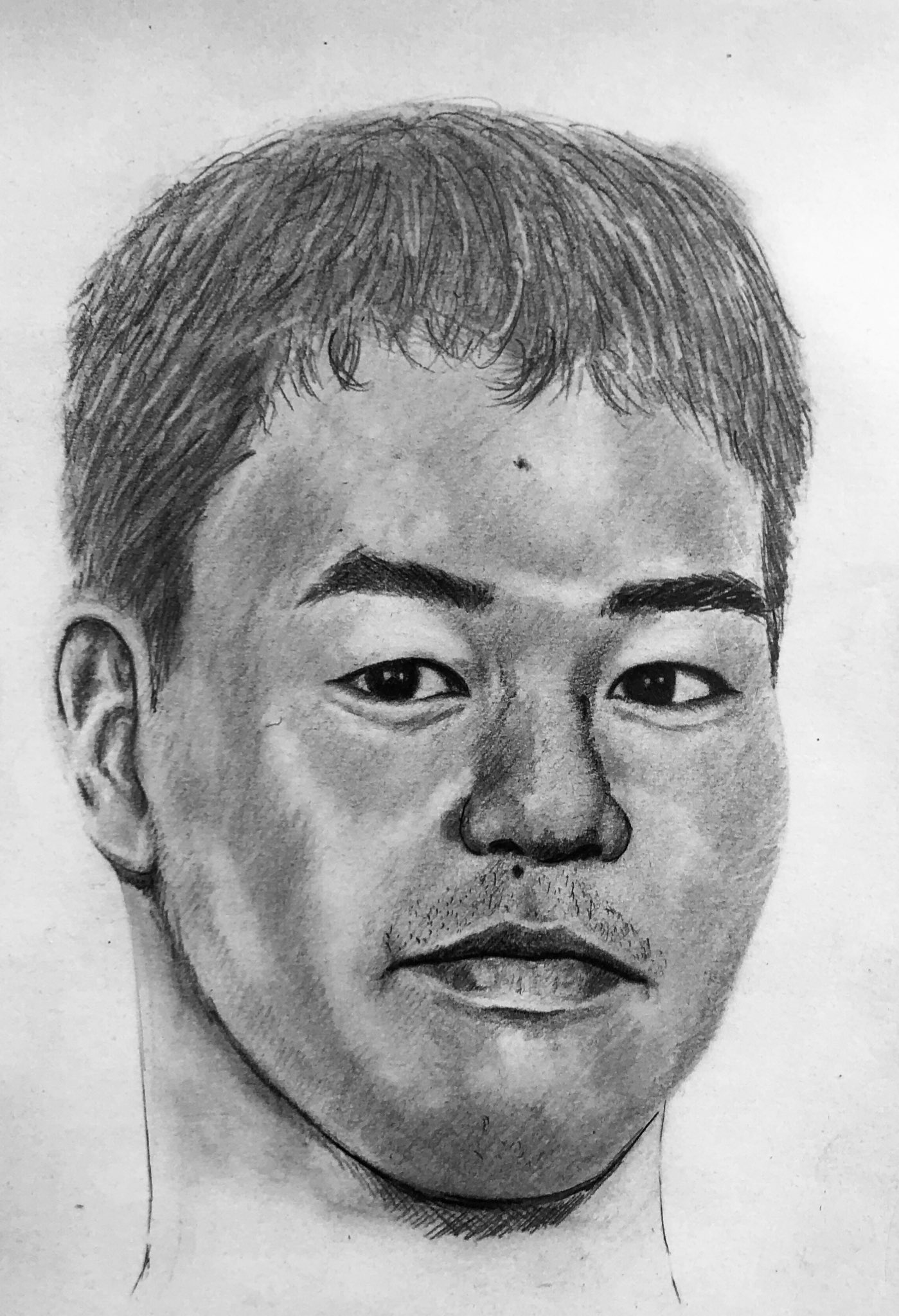 野獣先輩 水墨画 野獣先輩 水墨画