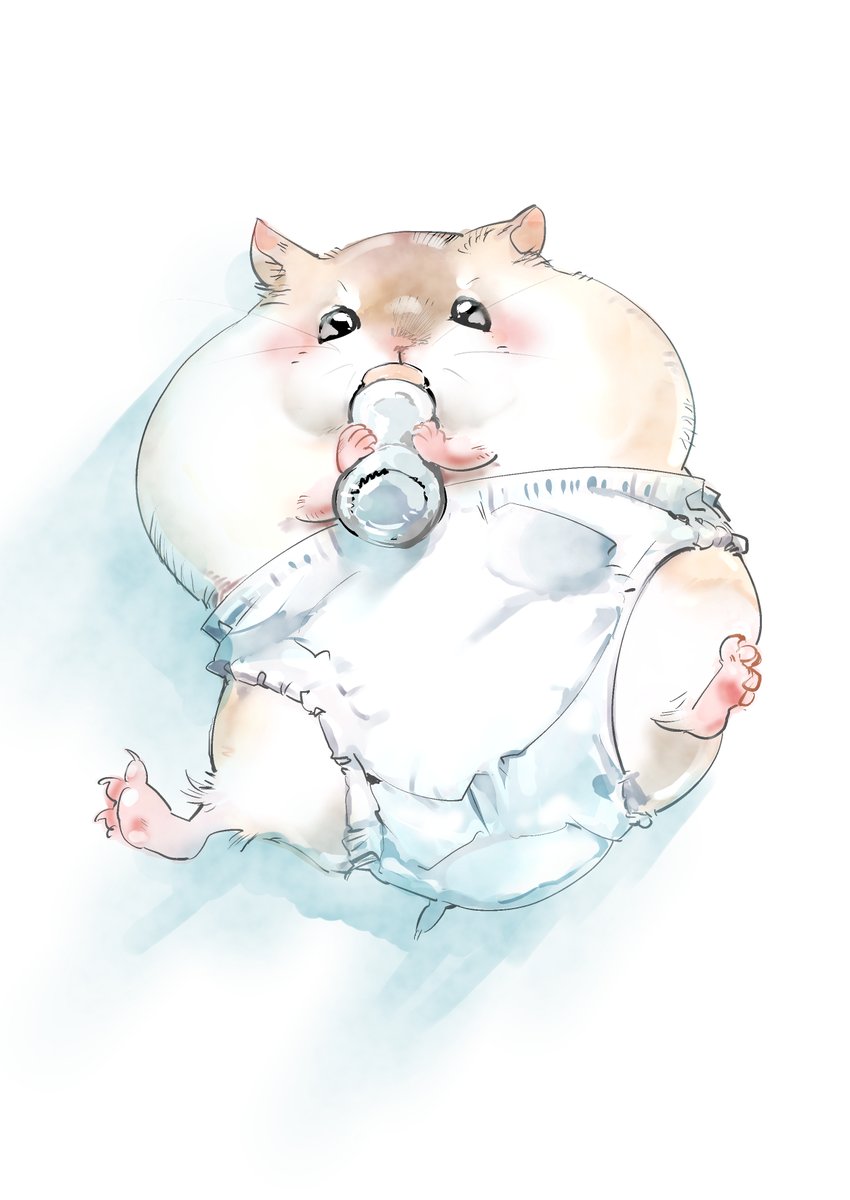 diaper no humans animal focus hamster white background lying baby bottle  illustration images