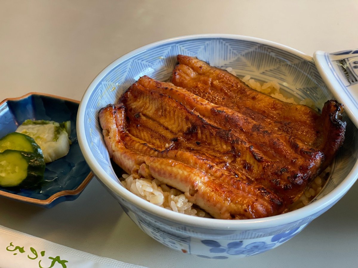 旅うらら編集局 神奈川 V Twitter 横浜 7 28は土用の丑の日 横浜で鰻を食べるなら 割烹蒲焼わかな がおすすめ 創業明治5年 鰻ひとすじ 食通に愛される老舗の名店です 今回頼んだのは鰻丼 身はフワフワで柔らかく 炭火の香ばしさとさっぱりした