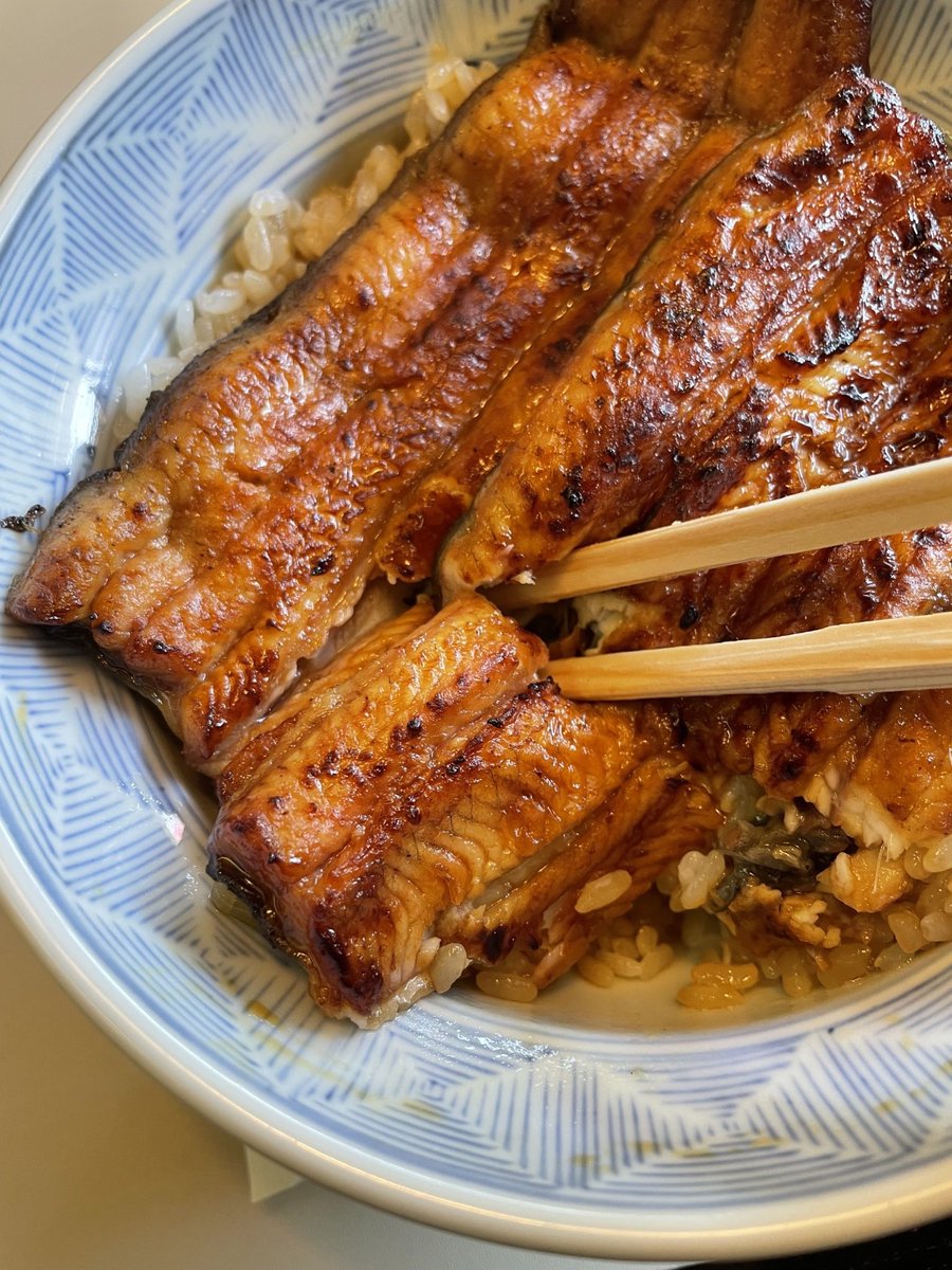 旅うらら編集局 神奈川 V Twitter 横浜 7 28は土用の丑の日 横浜で鰻を食べるなら 割烹蒲焼わかな がおすすめ 創業明治5年 鰻ひとすじ 食通に愛される老舗の名店です 今回頼んだのは鰻丼 身はフワフワで柔らかく 炭火の香ばしさとさっぱりした