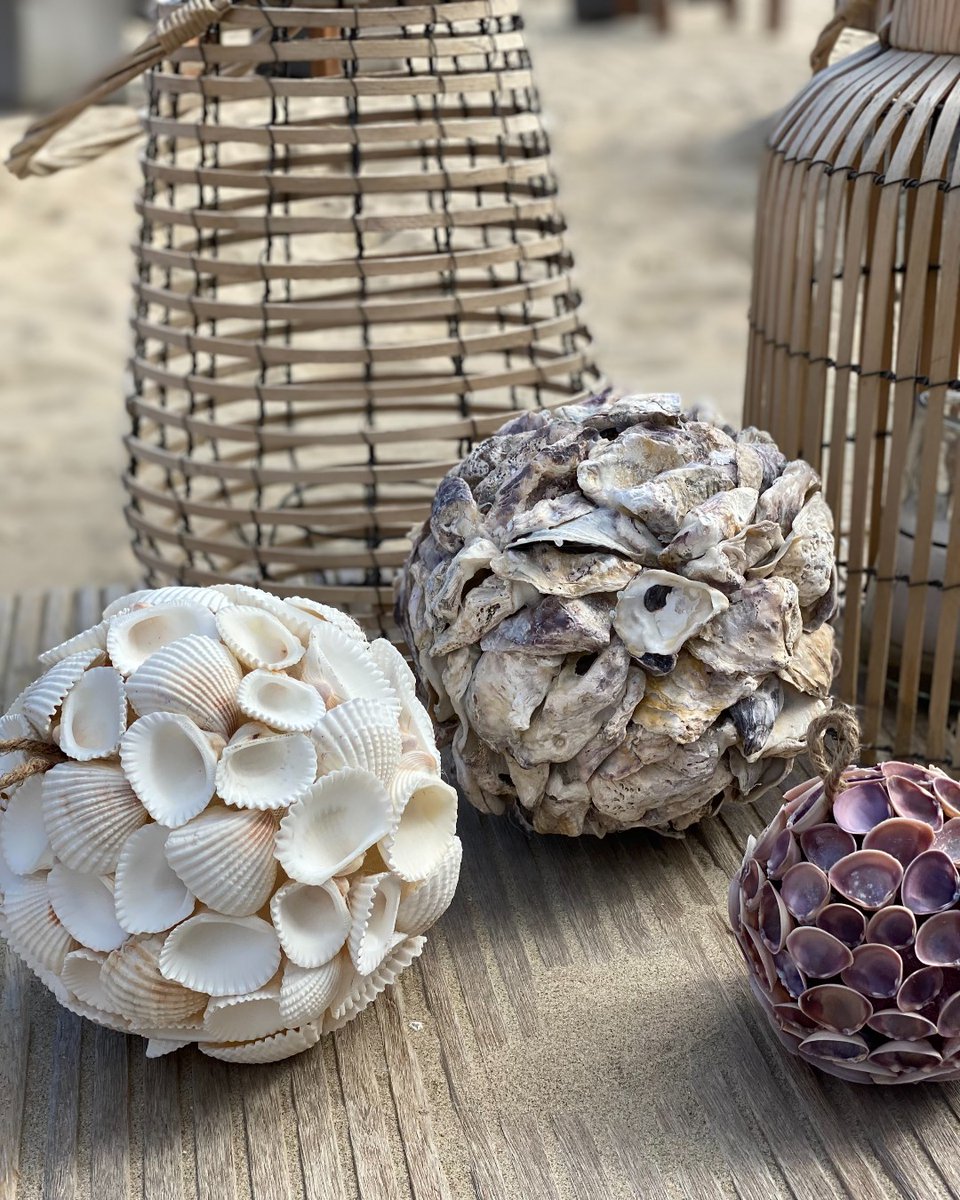Creëer die heerlijke beachstyle met deze SCHELPENBOLLEN. Vraag ernaar bij je verkoper of bezoek onze webshop.
.
<a href="/briesnoordwijk/">Bries Noordwijk</a> 
.
#schelpenbol #schelpenbollen #schelpenkrans #schelpenkransen 
#strandstijl #beachvibes #summervibes #strandpaviljoen #noordwijkaanzee
