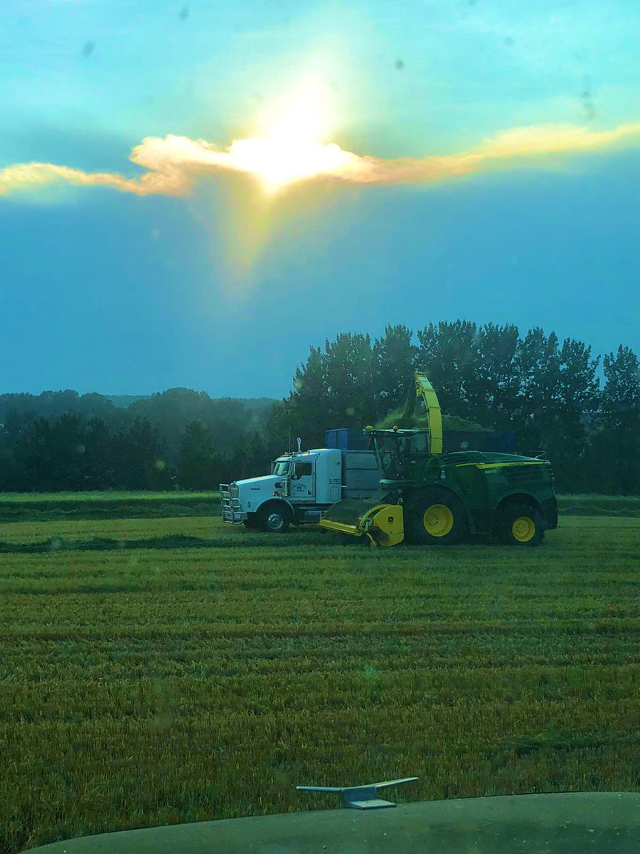 Beautiful evening for chopping #Barley2021