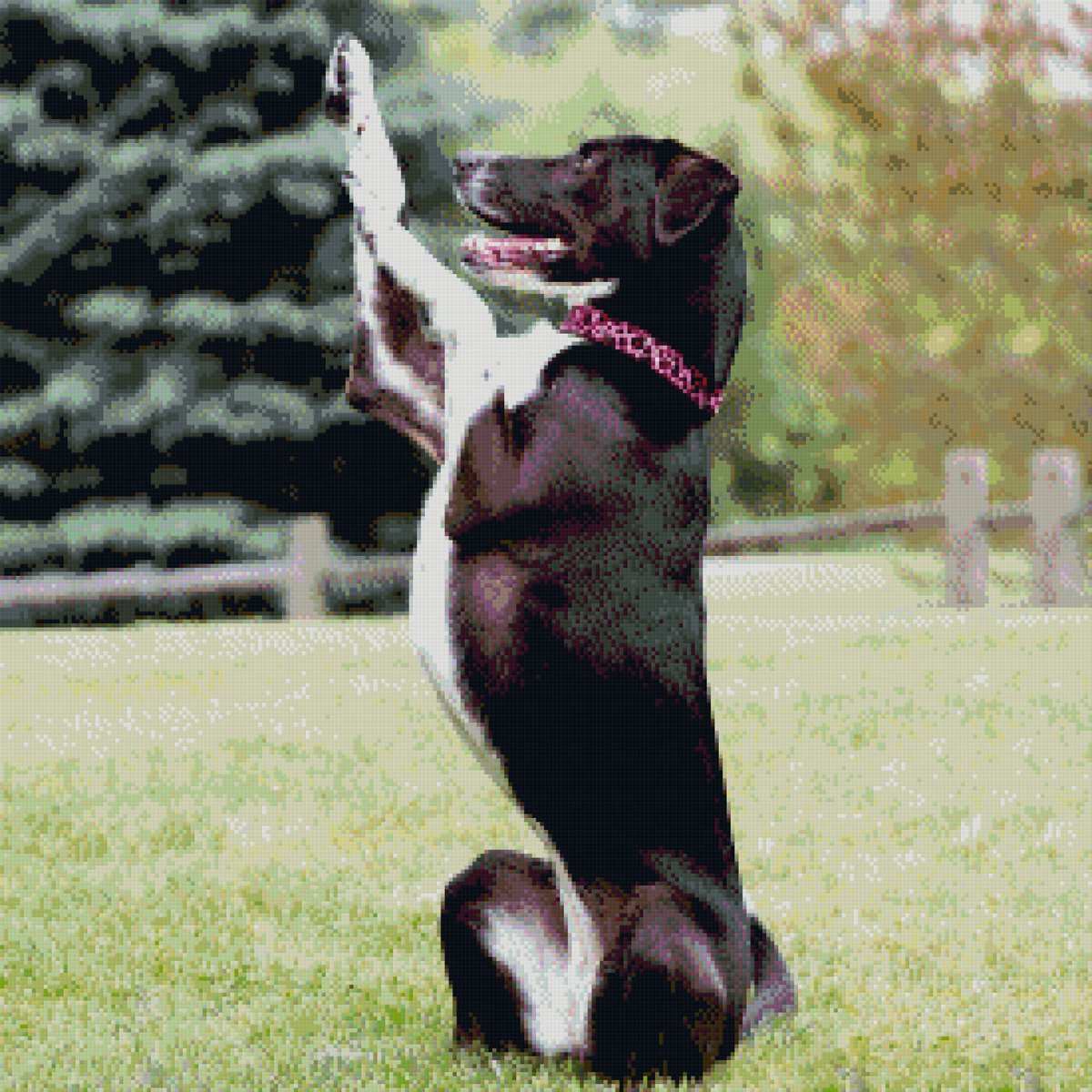Janice234's tweet photo. #NWDogDugoutSweepstakes https://t.co/UPrjjD9CvY