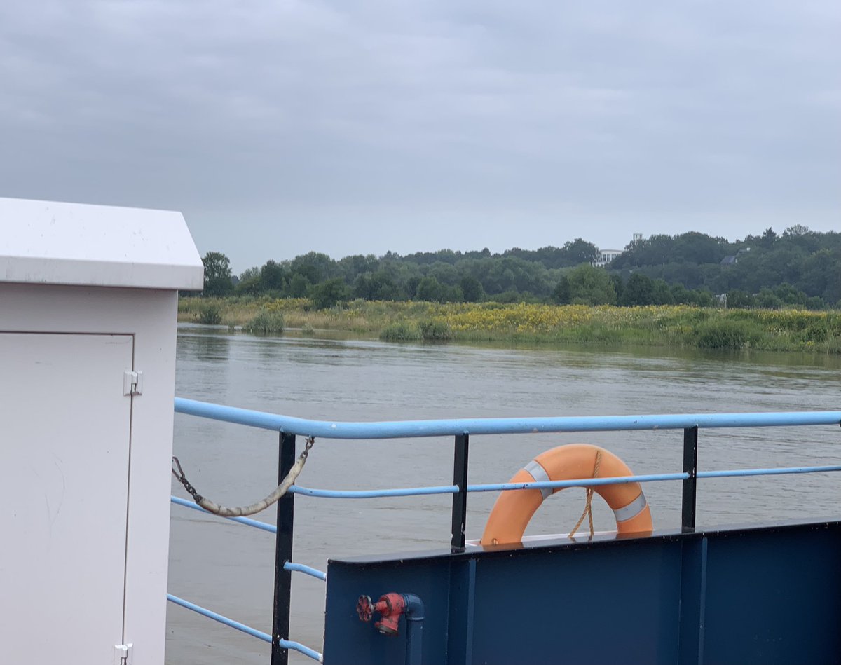 bgmeerburg's tweet image. Alles kleurt momenteel geel. Ook de oever van de Rijn bij #Wageningen. Mooi gezicht, maar #jacobskruiskruid is dodelijk voor paarden en runderen. Terreinbeheerders, doe wat aan deze zich snel verspreidende killer!