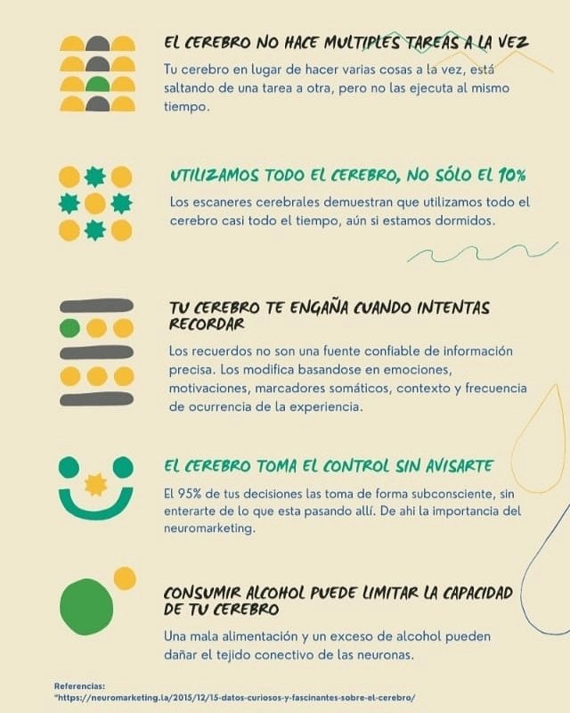 ADACEBUR_BURGOS's tweet photo. Hoy 22 de julio se celebra el #DíaMundialdelCerebro y desde #Adacebur queremos dar a conocer diferentes curiosidades de nuestro cerebro y la importancia que tiene su cuidado y prevención. https://t.co/sX6g62efZc
