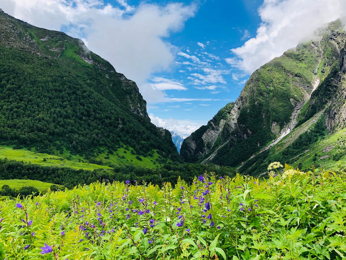 Tag someone with whom you would like to go for a hike at the beautiful Valley of Flowers. © uditmoral/Shutterstock.com #LPIndia #lpin