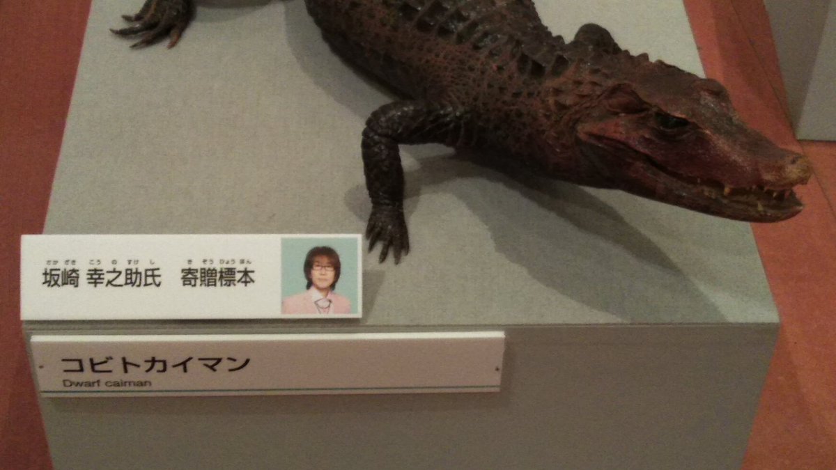 大地のハンター展 隠れた？見どころの一つに、THE ALFEE の #坂崎
